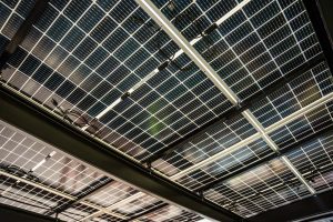 The Solar Company 25
